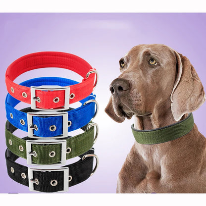 Nylon Dog Collar - Pet Venture