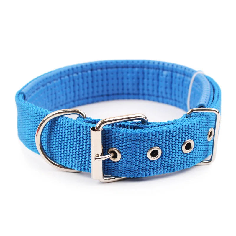 Nylon Dog Collar - Blue / M - Pet Venture