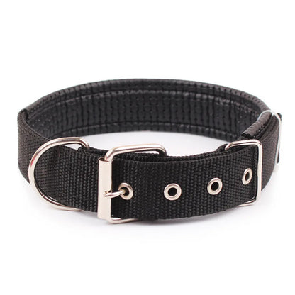 Nylon Dog Collar - Black / S - Pet Venture