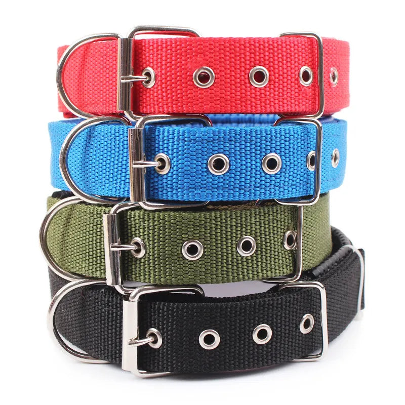 Nylon Dog Collar - Pet Venture