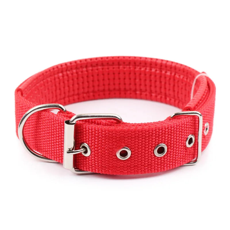 Nylon Dog Collar - Red / M - Pet Venture