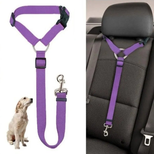 Two-in-one Pet Car Seat Leash - Pet Venture