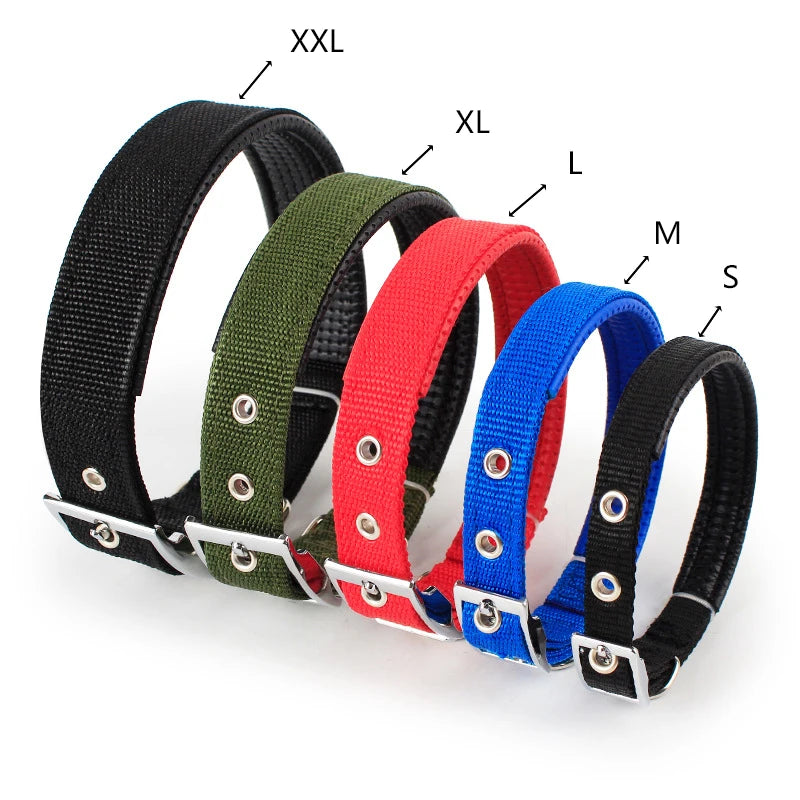 Nylon Dog Collar - Pet Venture