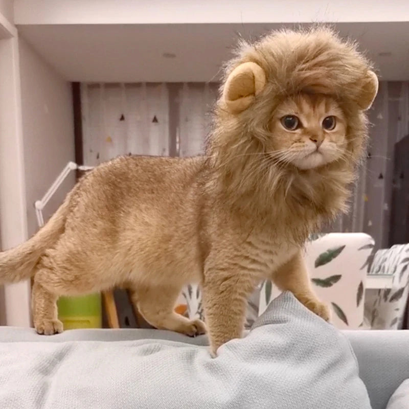 Lion Mane Cat Wig