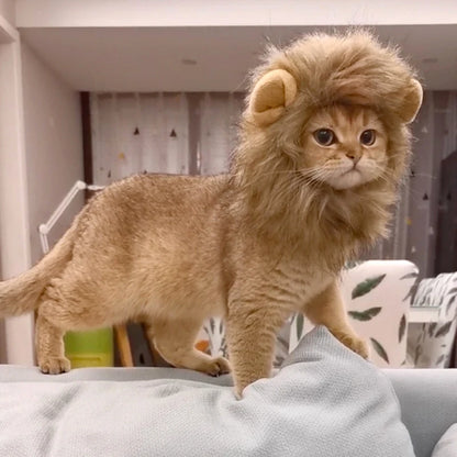 Lion Mane Cat Wig