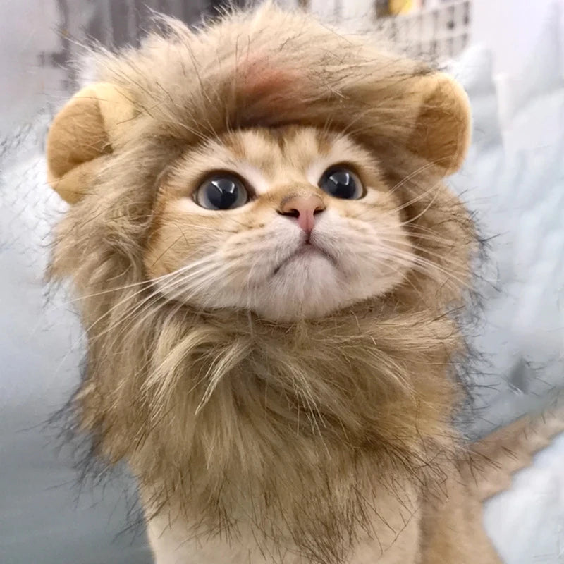 Lion Mane Cat Wig