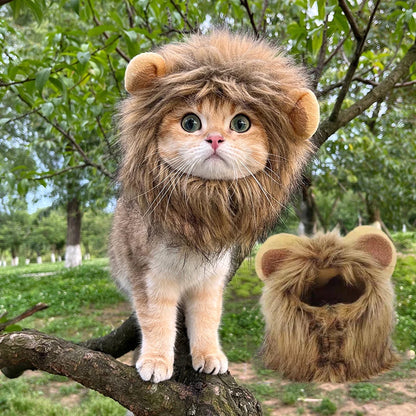 Lion Mane Cat Wig