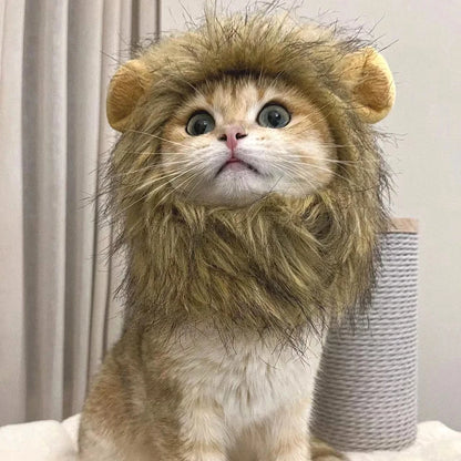 Lion Mane Cat Wig