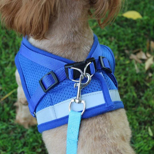 Adjustable Mesh Pet Harness With Leash - Pet Venture